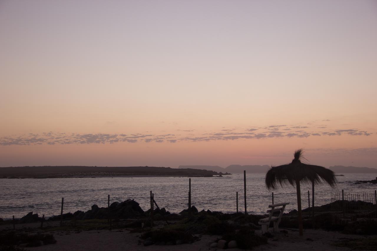 Refugio Humboldt Punta de Choros Exterior photo