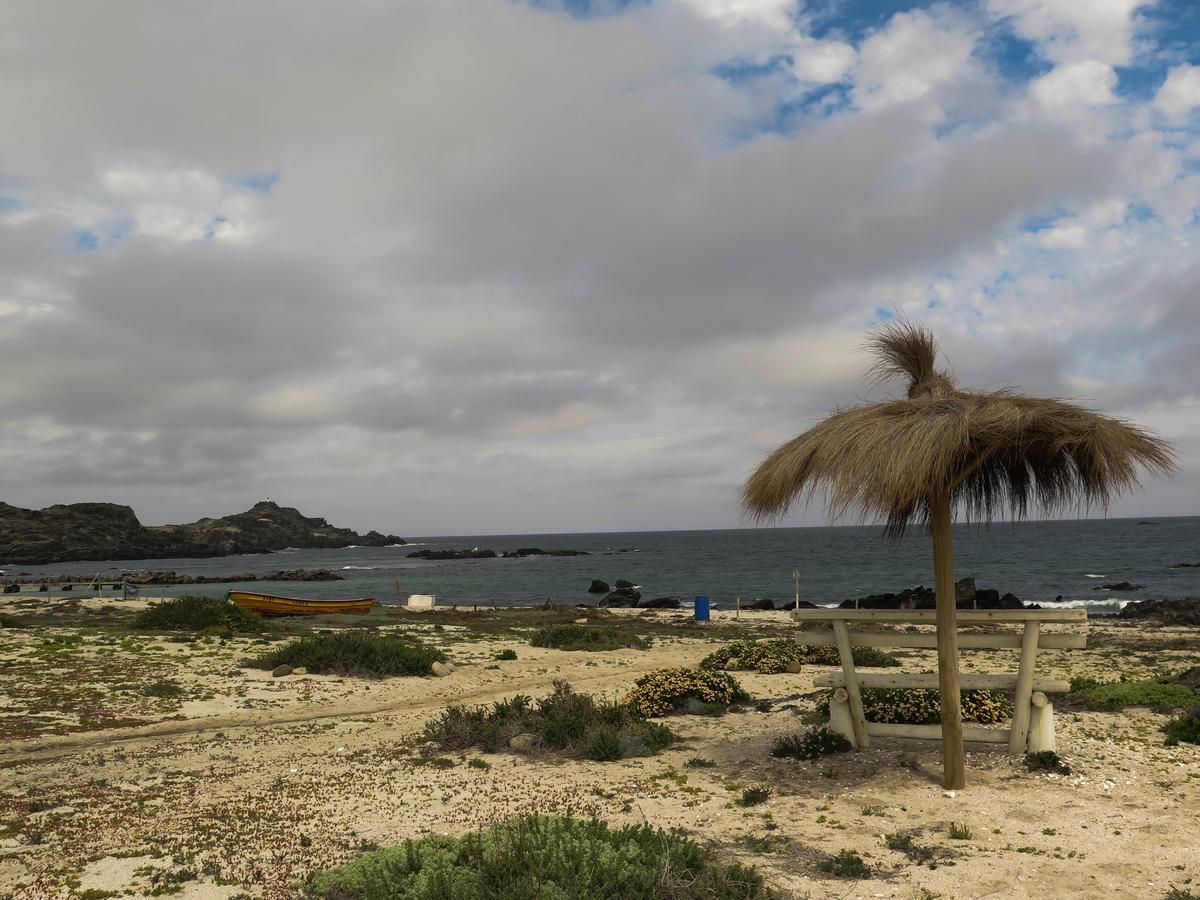 Refugio Humboldt Punta de Choros Exterior photo