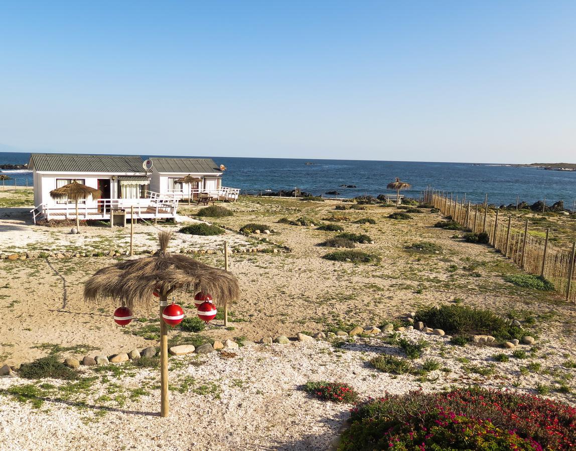 Refugio Humboldt Punta de Choros Exterior photo